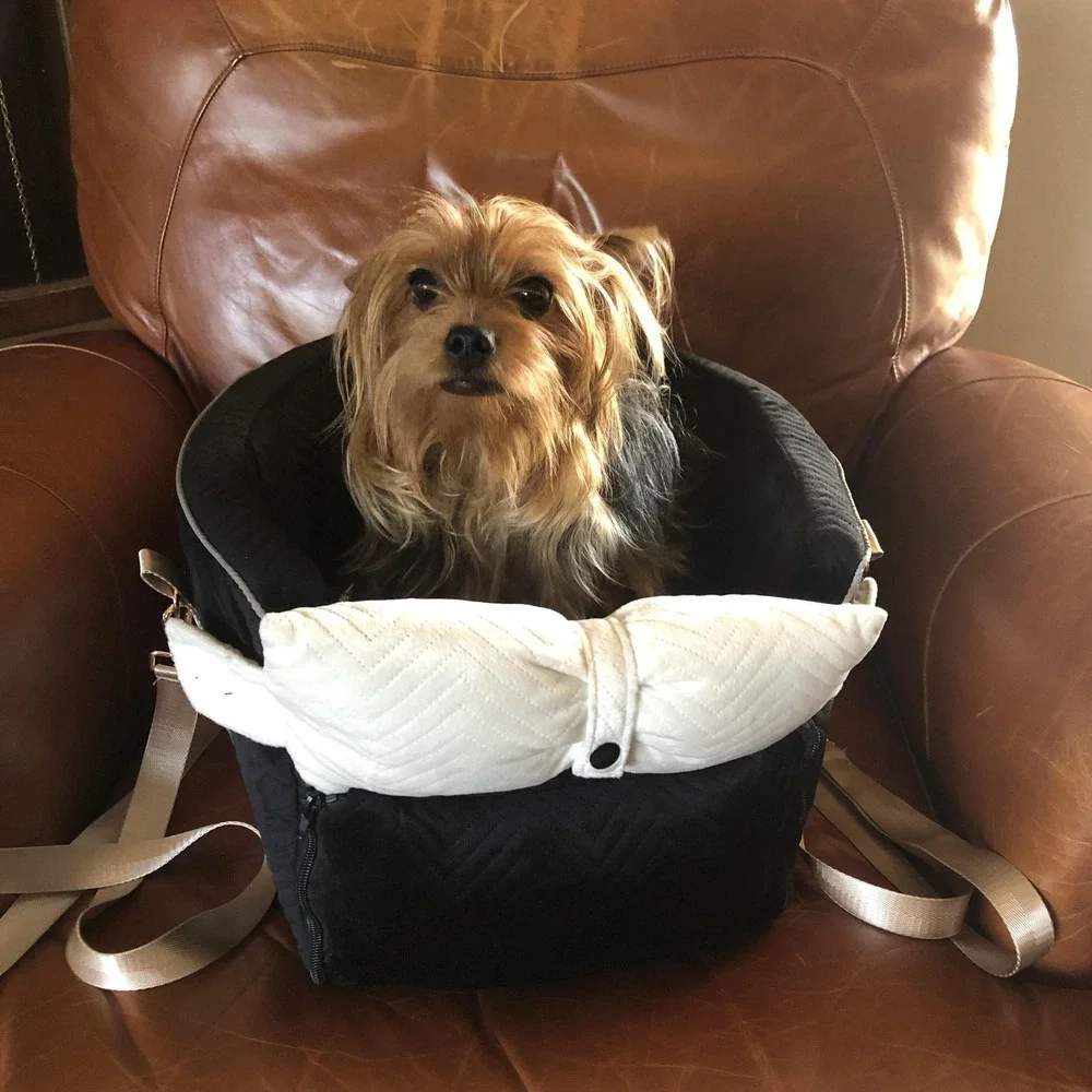 Small Dog Car Seat Booster Carrier Plush Black Velour Bow Tether Straps Non-Slip